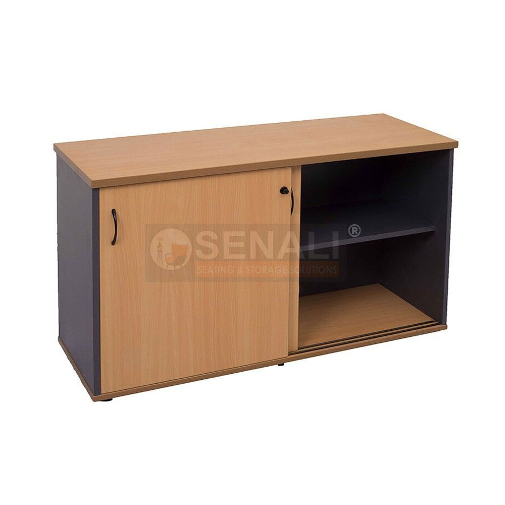 Glass panel sliding door cabinet for document and file display