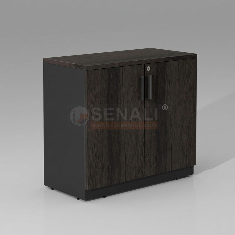 Powder coated CRCA steel swing door cabinet with lock
